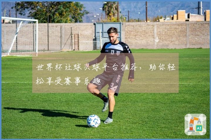 世界杯让球买球平台推荐，助你轻松享受赛事乐趣