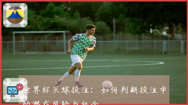 世界杯买球投注：如何判断投注中的潜在风险与机会