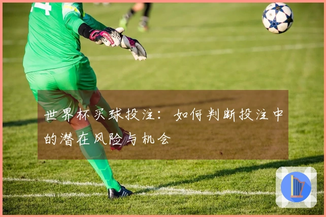 世界杯买球投注:如何判断投注中的潜在风险与机会