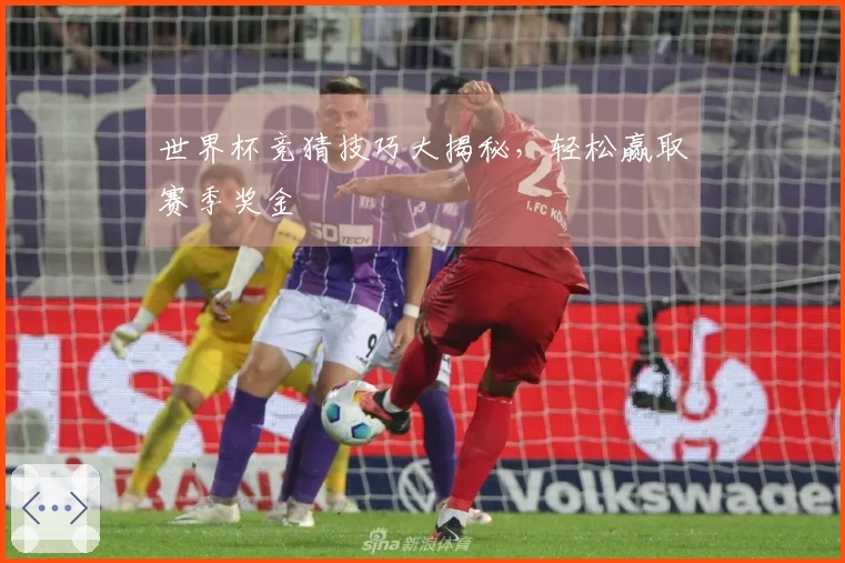 世界杯竞猜技巧大揭秘，轻松赢取赛季奖金